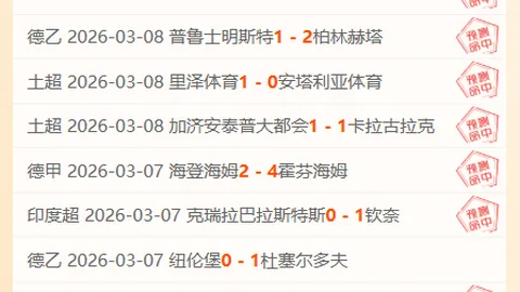 “重庆举办第四届海峡两岸暨港澳青年羽毛球邀请赛盛大开幕”
